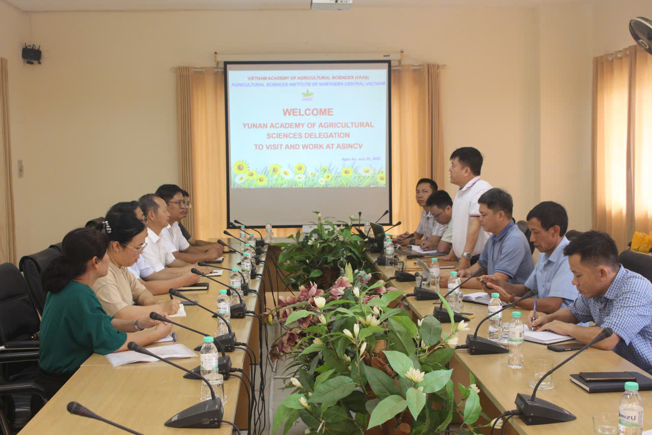 Xem chi tiết