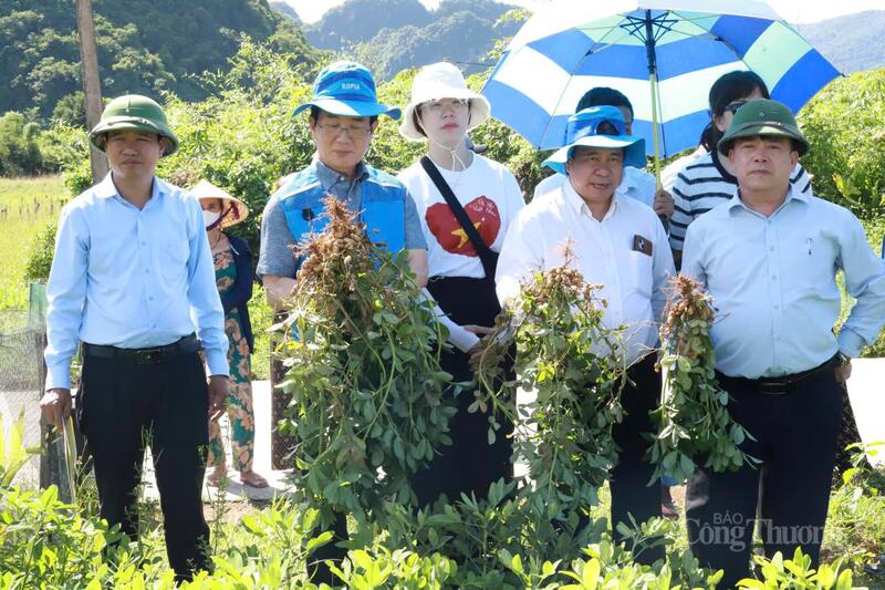 Xem chi tiết