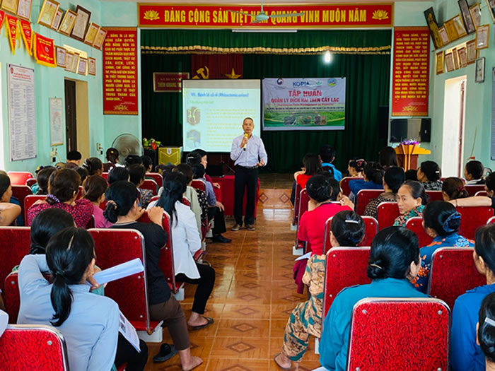 Tập huấn quản lý dịch hại trên cây lạc tại Nghi Xuân, Hà Tĩnh