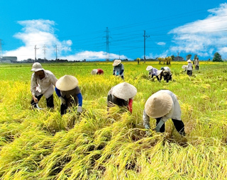 Xem chi tiết